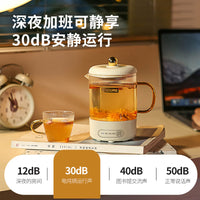 Premium Borosilicate Glass Health Kettle Automatic Multi-functional Flower Tea Maker for Home and Office