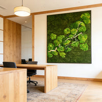 Preserved Moss Wall Art for Restaurants, Hotels, and Office Backgrounds