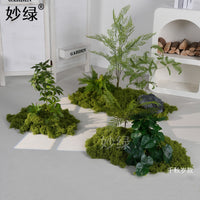 Artificial Moss Micro Landscape Set for Indoor Decor, Window Display, and Green Plant Arrangement