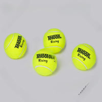 Ruixue Tianlong Professional Tennis Balls for Practice and Competition - Beginner Training
