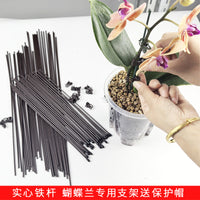 Phalaenopsis Orchid Support Stakes with Clips and Protective Caps - Plant Fixing Rods for Flower Stems