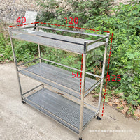 Stainless Steel Outdoor Balcony Patio Multi-layer Succulent Plant Stand Floor-standing Double-layer Mobile Flower Rack