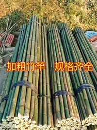 Bamboo Stakes for Garden Trellis, Vegetable Support, Cucumber Tomato Bean Plant Climbing, Small Bamboo Poles for Grape Vines