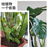 Plant Support Stakes for Potted Flowers and Greenery, Half-Round Coated Iron Garden Trellis for Orchids and Climbing Plants