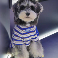 Wholesale Stylish Pet Dog Cat American Striped T-Shirt Spring Summer Thin Section for Small Dogs Schnauzer Teddy