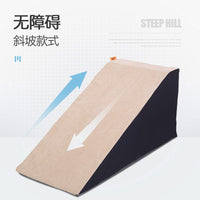 Pet Dog Cat Ramp Stairs for High-Age Pets, Non-Slip Ladder Slope for Beds, Washable and Detachable