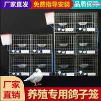 Thickened Pigeon Cage Large Extra Large Ingot Pigeon Breeding Cage Mating Breeding Meat Pigeon Cage