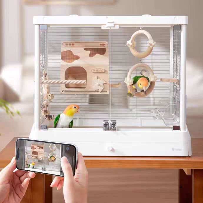 Dayang B6047SS Large Panoramic Glass Bird Cage High Transparency Home Parrot Cage for Budgies and Peonies