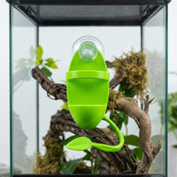 Arboreal Reptile Climbing Frame Bathing Water Basin Suction Cup Terrarium Decor for Tree Frogs Crested Geckos