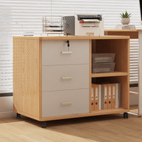 Lockable Mobile Filing Cabinet with 3 Shelves