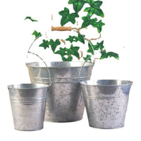 Vintage Iron Bucket Planter for Flowers and Storage