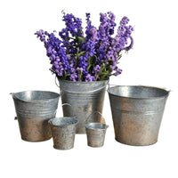 Vintage Iron Bucket Planter for Flowers and Storage