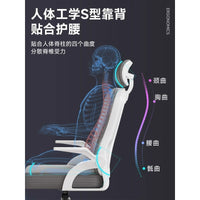 Ergonomic Mesh Office Chair with Headrest, Adjustable Height, Swivel, White Frame