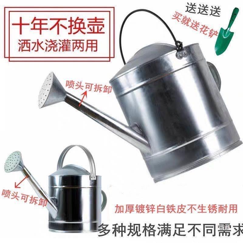 Thickened Iron Sheet Watering Can with Sprayer