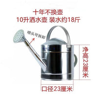 Iron Watering Can with Fixed Spray Head