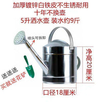 Thickened Iron Sheet Watering Can with Sprayer