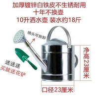 Thickened Iron Sheet Watering Can with Sprayer