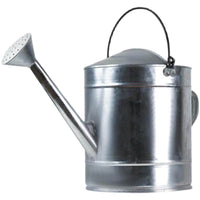 Thickened Iron Sheet Watering Can with Sprayer