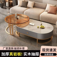 Luxury Modern Oval Sintered Stone Coffee Table with Storage, Metal Frame, for Living Room