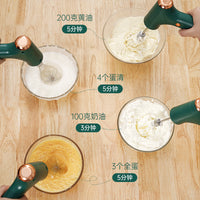 Electric Egg Beater Mixer with Stainless Steel Attachments