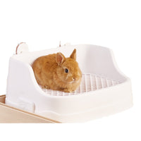 Rabbit Toilet with Leak-Proof Design and Large Capacity