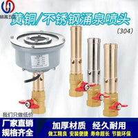 Brass/Stainless Steel Fountain Nozzle Set with Underwater Light