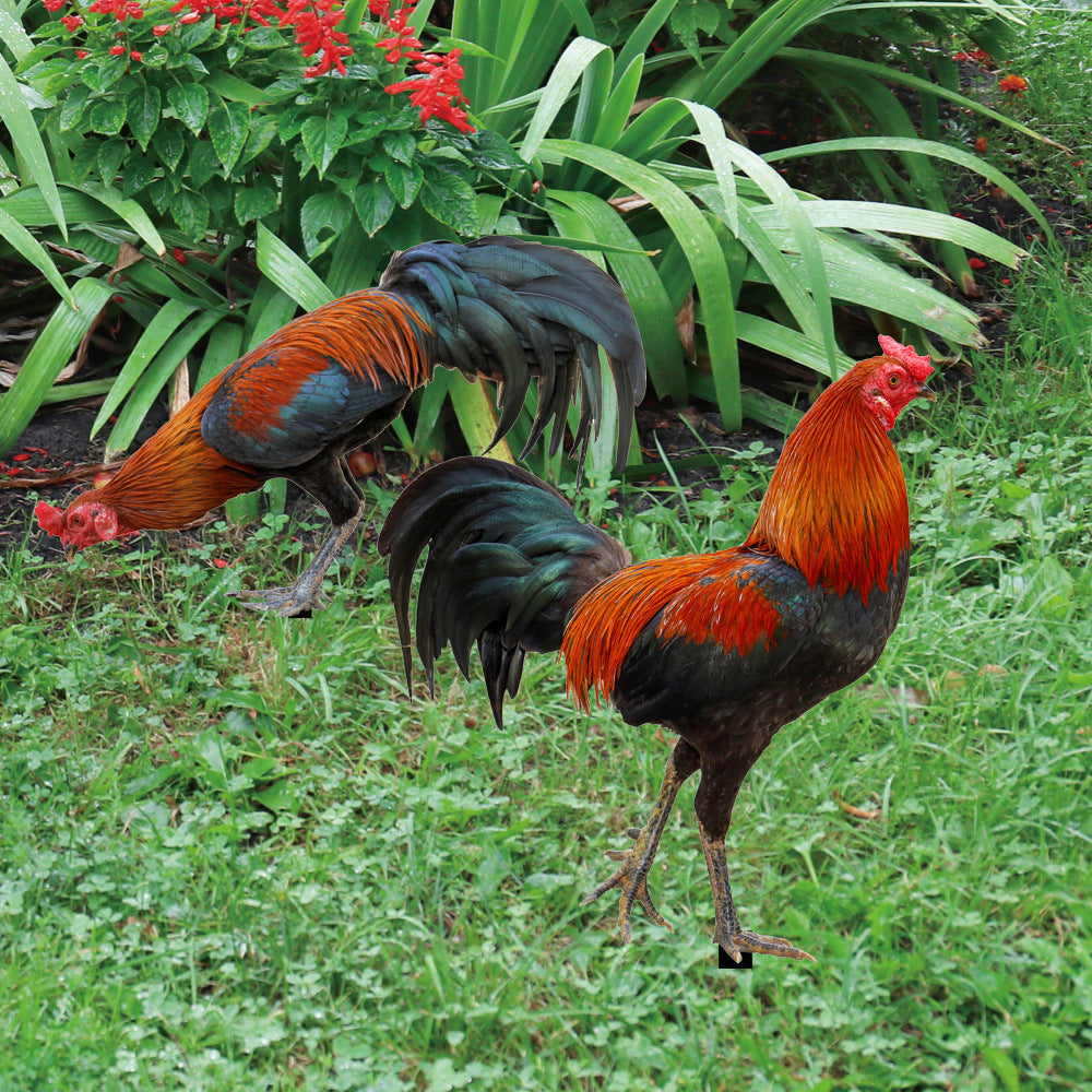 Acrylic Rooster Garden Stake for Outdoor Yard Art Decoration