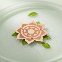 Bird Bath Disk Included Birdbath Purification Disc Easy to Place
