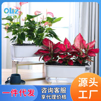 欧林泽工厂一件代发G格瑞塔全透明自吸水懒人花盆双层吸水盆现货
