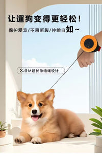Retractable Nylon Leash for Cats and Dogs