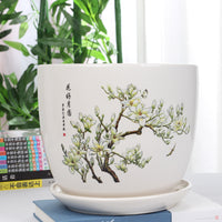 Ceramic Planter Pot with Saucer for Succulents and Indoor Plants