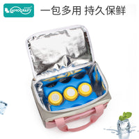 Large Capacity Insulated Lunch Bag for Food, Breast Milk, and Outdoor Picnics