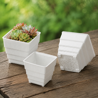 Small Square Plant Pots, 10cm Resin Flower Pots with Drainage, Breathable Outdoor Planters for Dry Plants