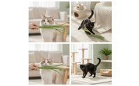 Interactive Cat Teaser with Bean Pods Lightweight Cat Teaser Wand Toy Natural Long-Lasting for Indoor Play, Bonding Time