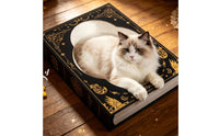 Corrugated Book Shaped Cat Scratcher | Wear-Resistant, Cat Scratcher Bed, for Reading Corner