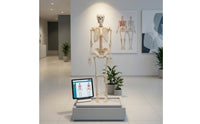 Human Skeleton Model Full-Body Skeleton Model with Stand Structural for Medical Students, Teachers, Classroom, Research Facility
