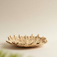 Decorative Shell-Shaped Fruit Tray Unique Design Fruit Tray Multi-Use Home Decor