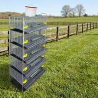Multi-Tier Quail Cage with Automatic Manure Removal Cage System, 1.95m Elevated Quail Cage for Quail Farming, Large Size Small Animals Habitat
