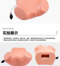 高级妇科训练模型