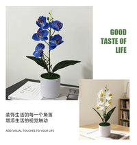 直筒盆仿真五朵蝴蝶兰盆景居家办公装饰假花盆栽摄影布置绿植摆件