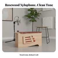 Resonator Box 13-Bar Soprano Xylophone Diatonic Scale Colorful Bar Xylophone Child-Safe Orff Instrument Includes 2 Mallets for Children, Music Educators, Beginners, Classroom, School, Therapy sessions, Home Play