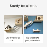 Hardwood Wall-Mounted Cat Climbing Shelf DIY Set