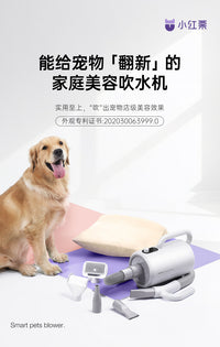 小红栗宠物吹水机大功率狗狗吹风机大型犬专用烘干机猫咪拉吹毛机 英规