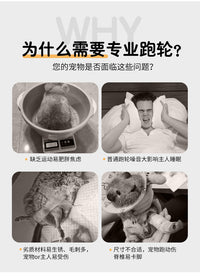 宠物跑轮静音龙猫蜜袋鼯解闷玩具大号跑步转轮松鼠笼用品大全批发