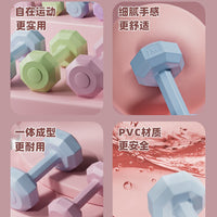 哑铃女士健身器材家用杠铃壶铃儿童女小哑铃2KG一对锻炼力量训练