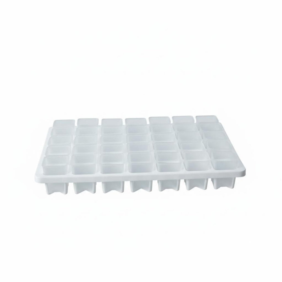 Mini Plastic Square Pot, Sprout Tray, Thumb Base Control, Lithops Nursery, Home Gardening