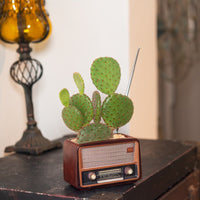 Retro Radio Planter Pot Decorative Resin Craft for Home Decor
