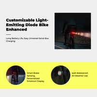 Brake tail light, waterproof, USB-C.