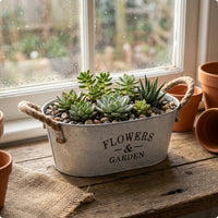 Oval Tabletop Planter Printed Lettering Flower Pot with Handles