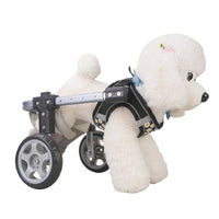 Adjustable Pet Wheelchair for Dogs and Cats, Metal Frame, Four-Wheel Mobility Aid
